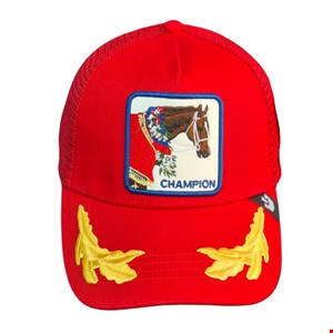 کلاه گورین کد06